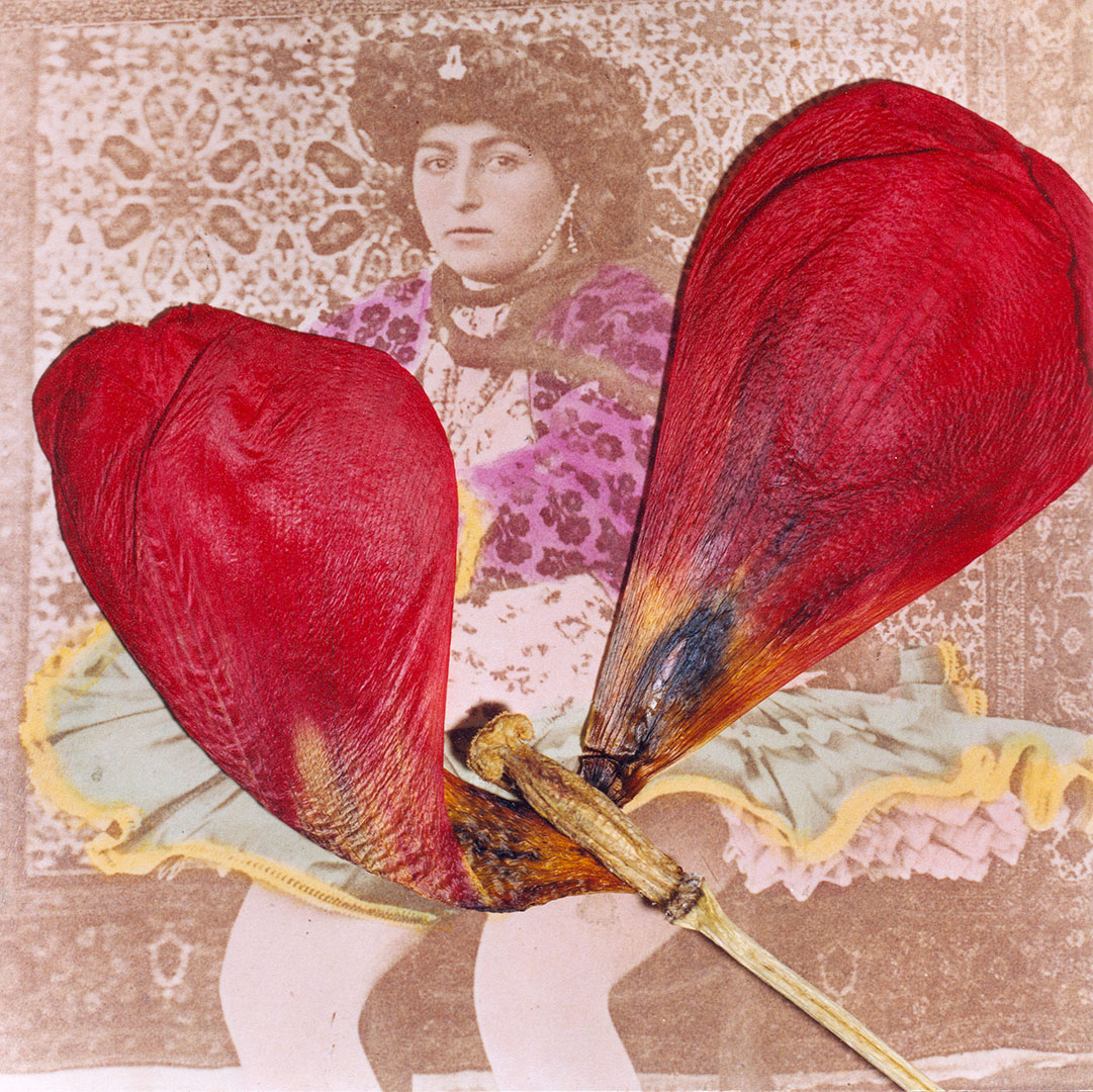 Photomontage